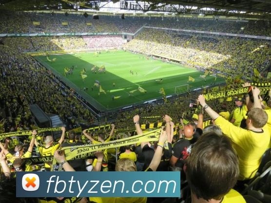 FB体育品牌故事